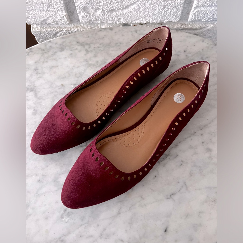 Point Toe Flats